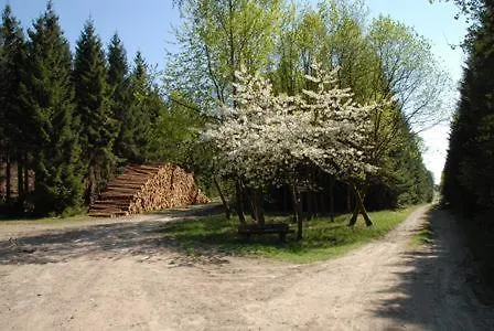 Guest house Haus Talblick Winterberg