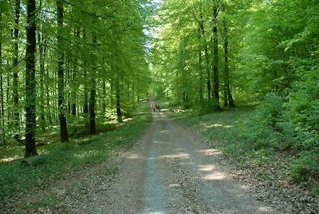 Guest house Haus Talblick